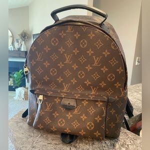 Louis Vuitton (knock off) backpack purse